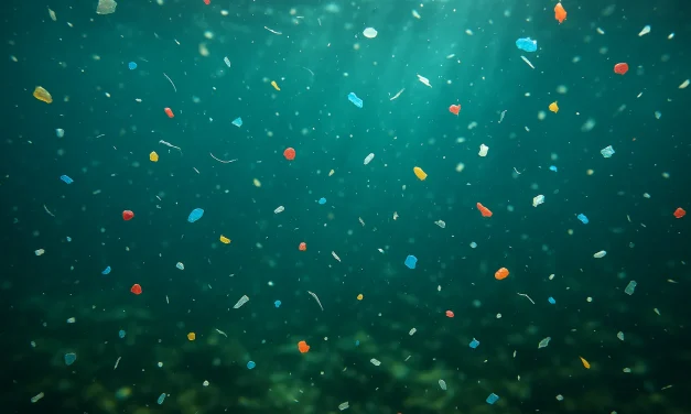 Peneliti UB Desak Mitigasi Serius terhadap Ancaman Mikroplastik