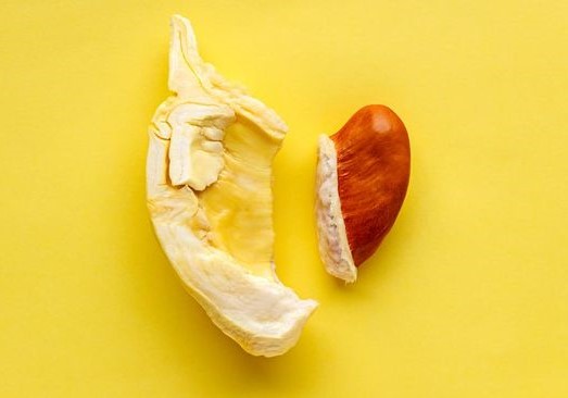 Menkes Ungkap Bahaya Tersembunyi Gulai Kambing dan Durian