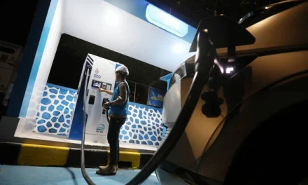 Beban Listrik Naik, Sri Lanka Larang Cas Mobil Listrik di Malam Hari