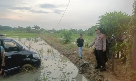 Kecelakaan Mobil APV di Babelan Hingga Terjun ke Sawah