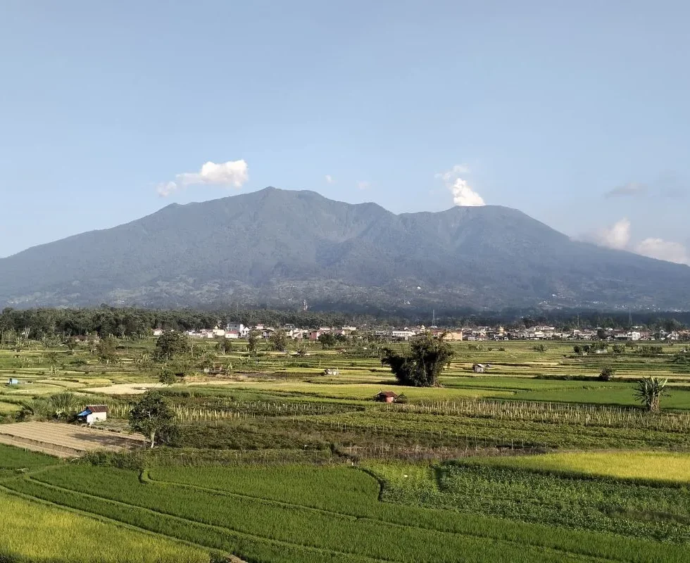 Gunung Marapi erupsi dengan asap tebal di Sumatera Barat