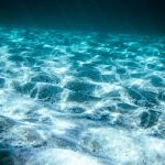 Artefak Bersejarah di Laut Terancam Dampak Perubahan Iklim