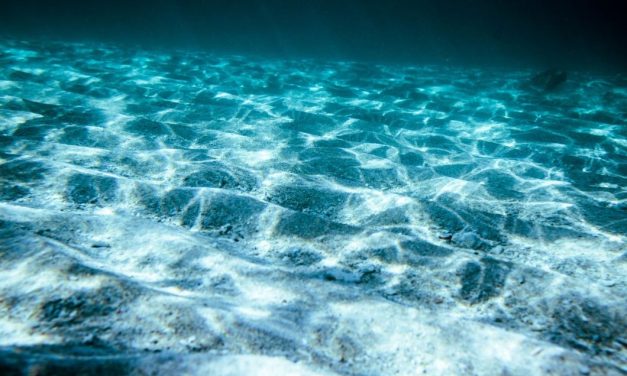 Artefak Bersejarah di Laut Terancam Dampak Perubahan Iklim