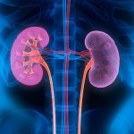 Diet Tinggi Protein dan Risiko Ginjal, Fakta di Hari Ginjal Sedunia