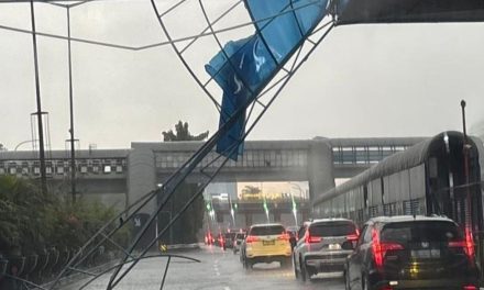 Tol Jakarta Terganggu Hujan dan Angin Kencang, Pohon Tumbang