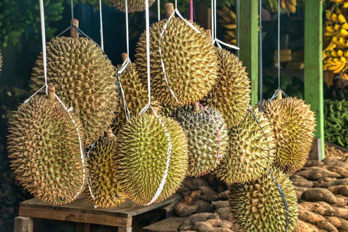 Kampung Durian Banjaroya
