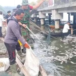 Semburan Belerang Danau Batur Kembali Sebabkan Puluhan Ton Ikan Mati, Pembudidaya Terancam Rugi Besar
