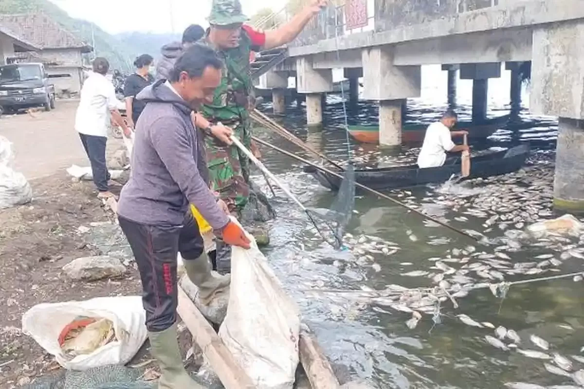 Semburan belerang Danau Batur