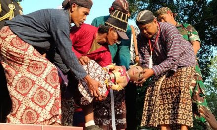 Bukan Sekadar Tradisi, Saparan Bekakak Simpan Nilai Konservasi
