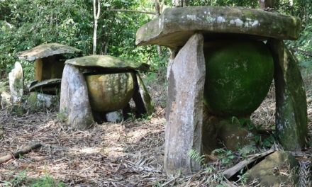Kuburan Batu Kuno Dayak di Taman Nasional Kayan Mentarang Simpan Jejak Peradaban Leluhur